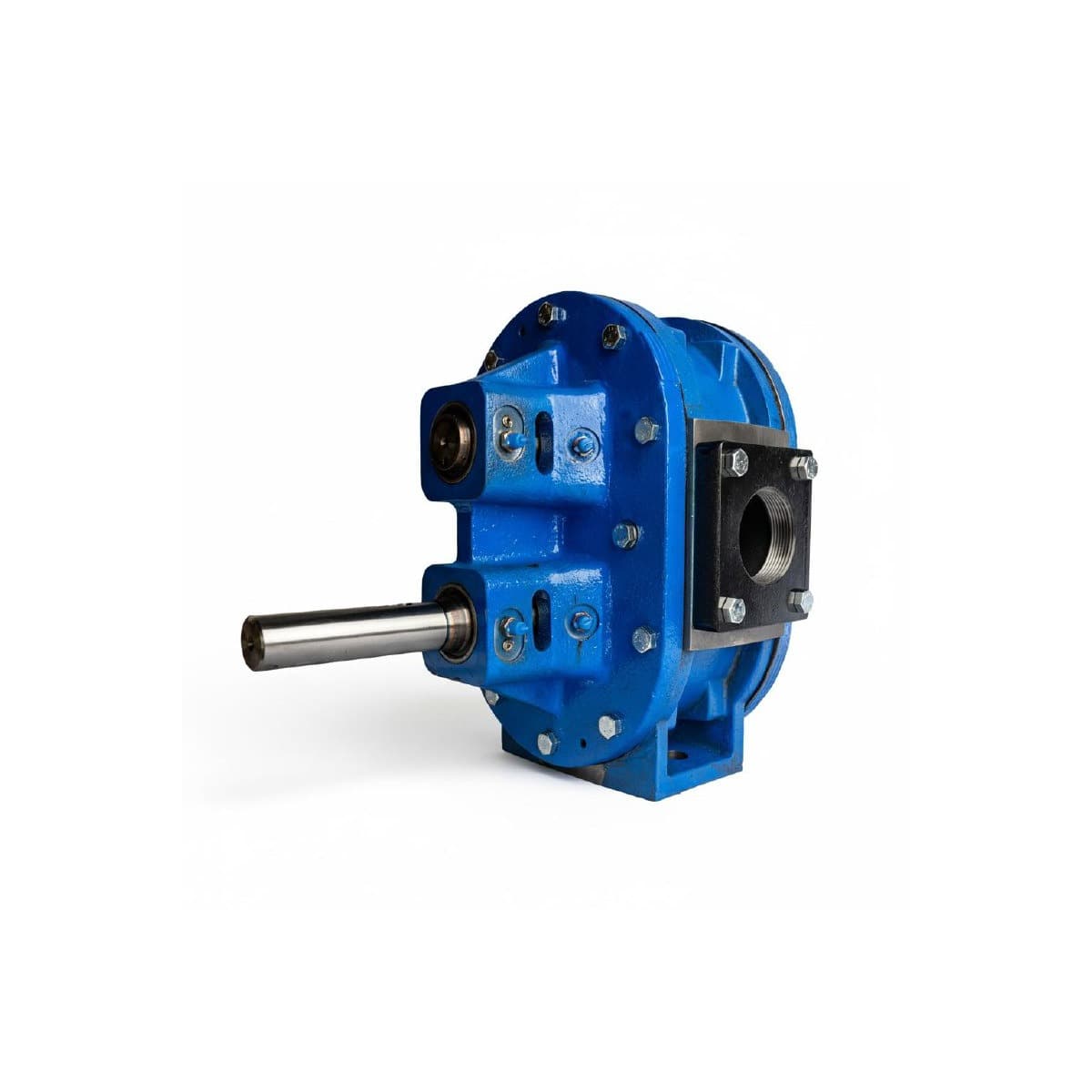 PA200C 2-inch Ductile Iron Rotary Gear Pump
